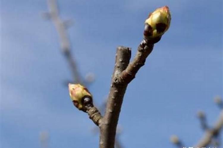 35岁成熟男士适合戴什么表？3000起,稳重大气,一共3款!