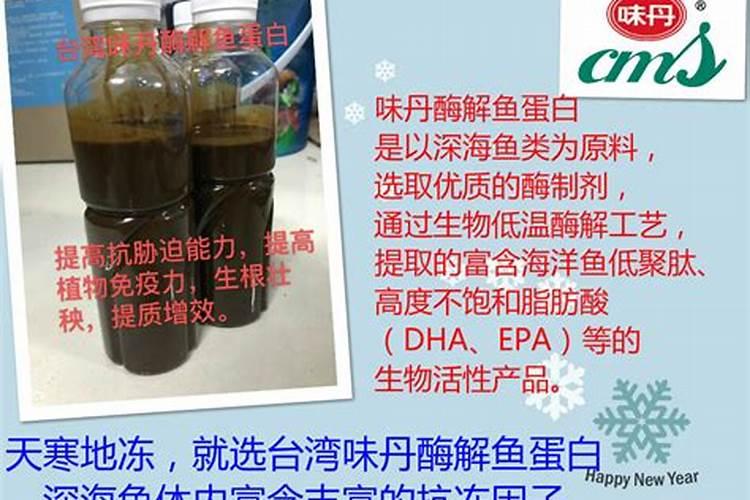 月季冬天怎么施肥