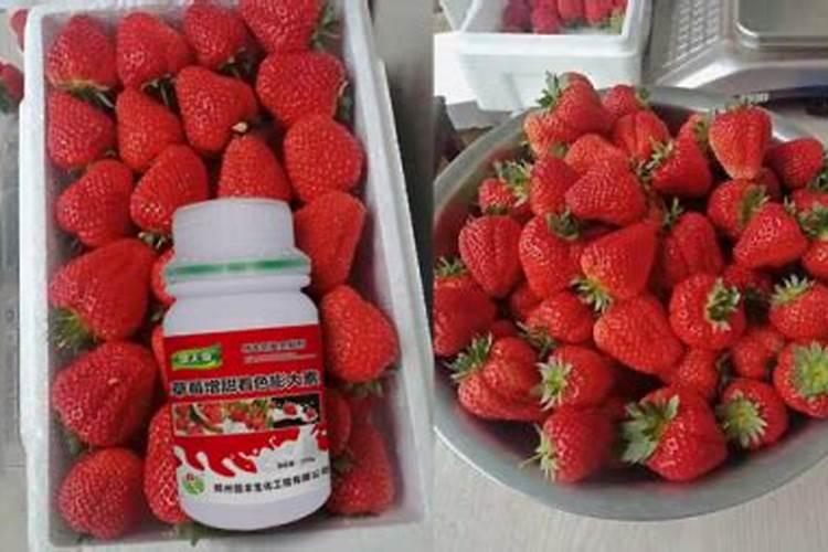 香蕉树应该在什么时候施肥 种植香蕉应该什么时间施肥？