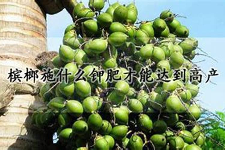 钾肥的最佳使用时间