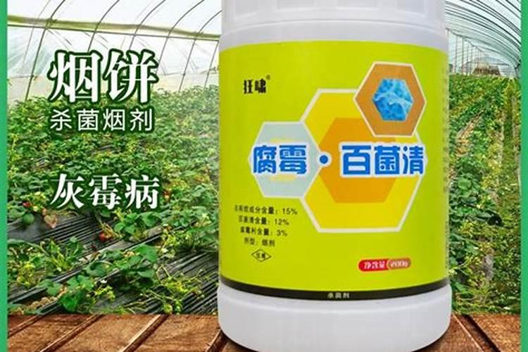 棚室蔬菜打药是早上露水没下的时候打好呢,还是下午打好