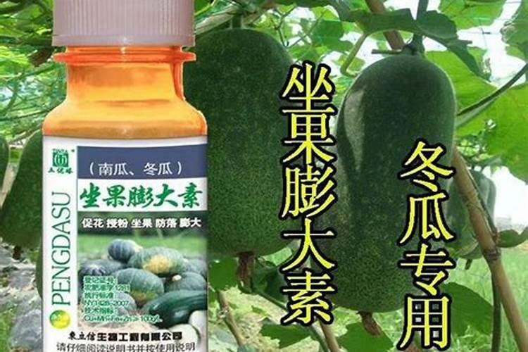 扬州芳甸在哪里？