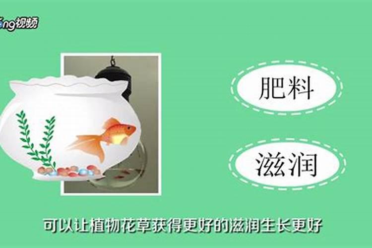 复合肥可以让鱼塘水变肥吗