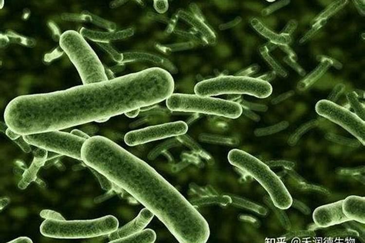 枯草芽孢杆菌能和阿维菌素一起混用吗(混配使用的作用)