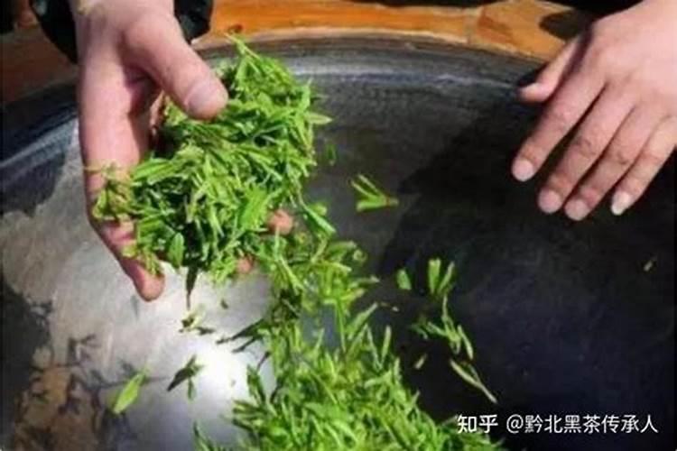 茶叶叶面肥用什么最好