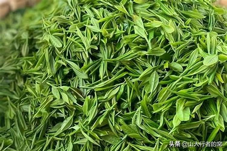 茶叶采摘前可否喷叶面肥