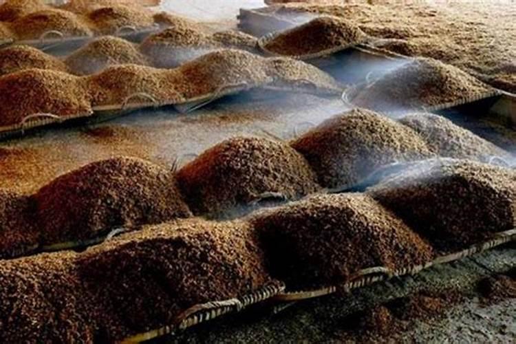 豌豆哪些地方可以被当作食材来使用呢