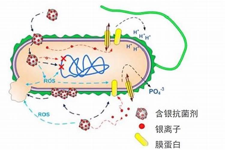 农药中有机铜有哪些