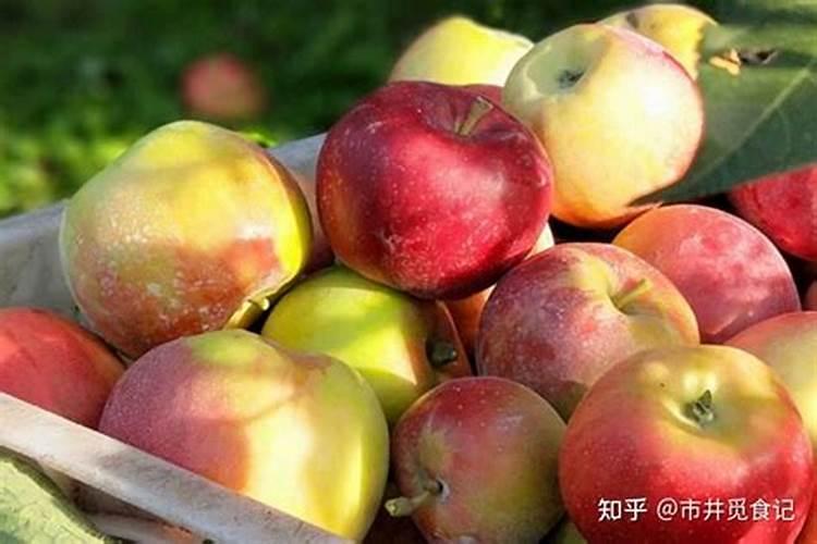 苹果缺钙症状什么时候补钙最快(苹果补钙用什么药)