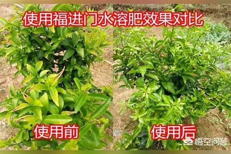 硅钙钾镁肥的袋子有多重