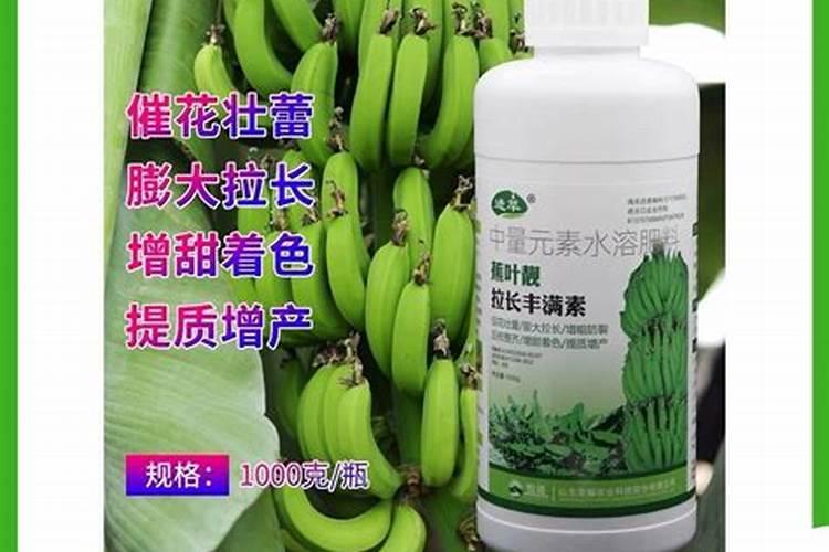 香蕉施什么肥最好