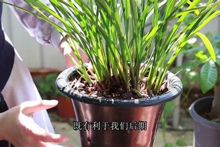 大豆低聚肽的作用与功效