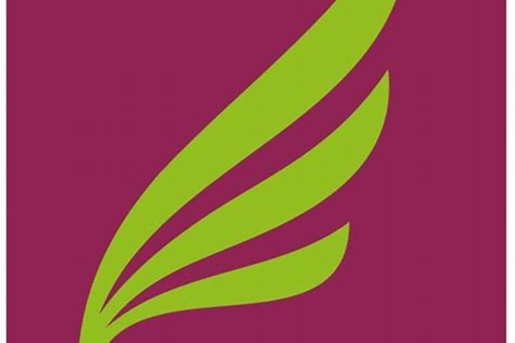 中国目前市场上水溶肥的主导产品是什么？有哪些企业？