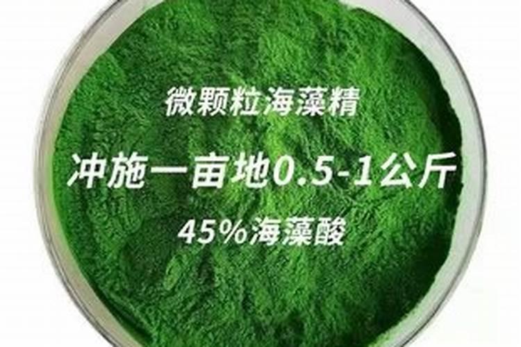 什么是有机水稻