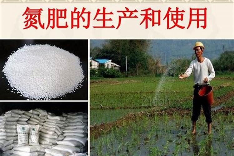 广西桂平木圭心连心是什么企业