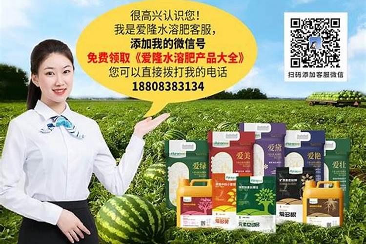 花生底肥用菌肥有什么好的效果？