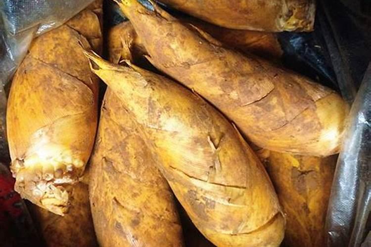 毛冬笋林地管理很重要,毛冬笋林地该怎么管理？