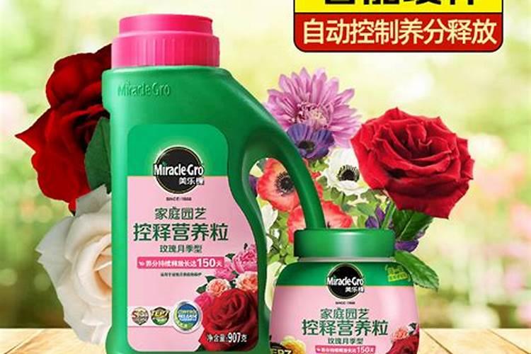 杂交水稻能不能使用恶唑酰草胺？