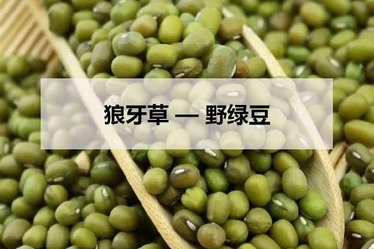 绿豆打什么药能高产和上什么肥料？