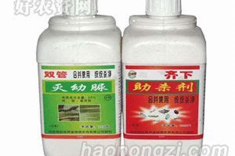 农资公司起什么名字