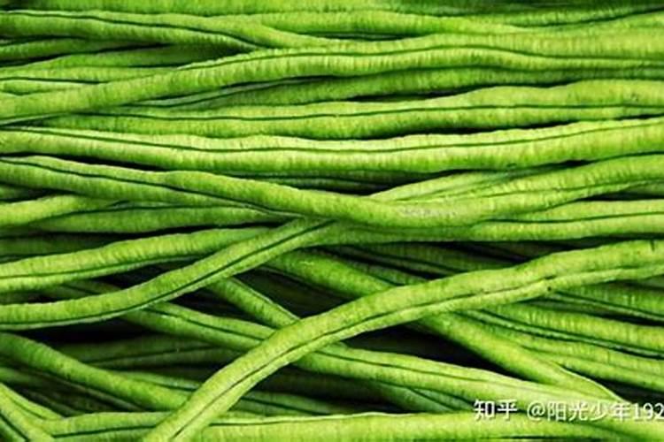 豆角结荚期怎样施肥