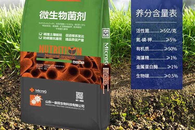 西瓜底肥上什么肥料好