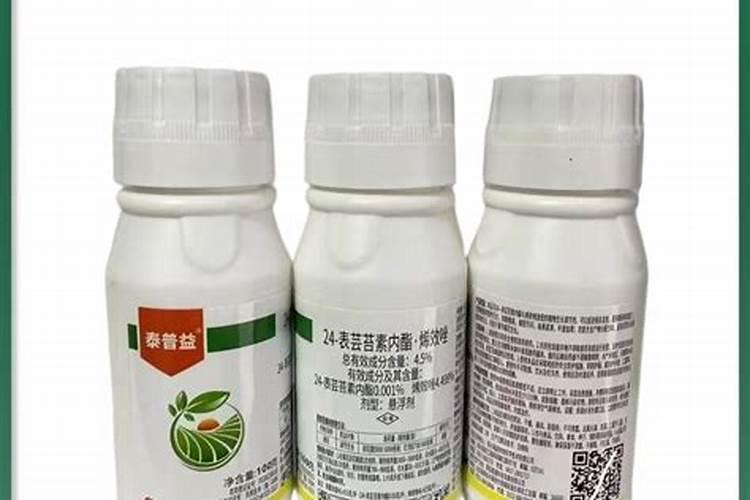 月季从有花苞到开花需要多久？月季花苞到开花要多久？