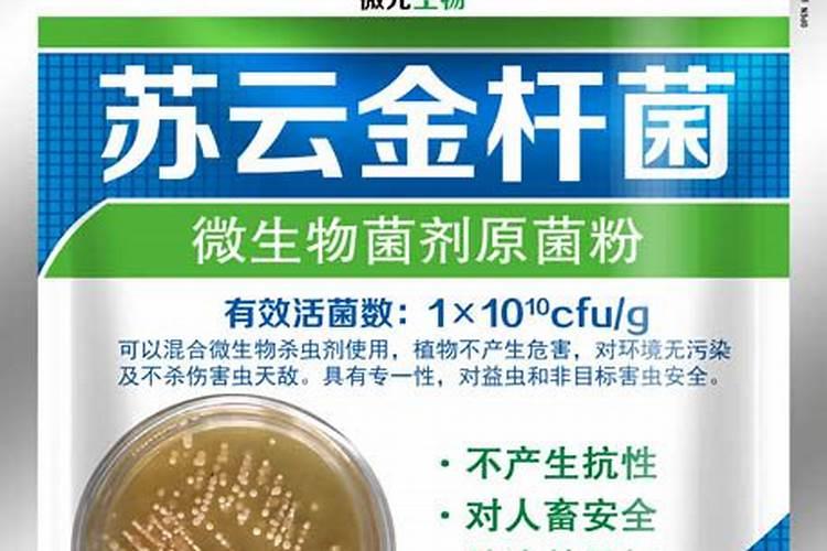 金花葵开花的时候能施叶面肥吗？