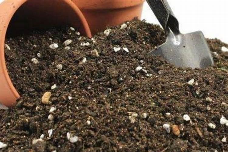 种花用的营养土有哪些？哪个牌子的比较好？