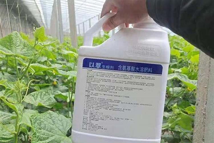 种菜用什么肥料好