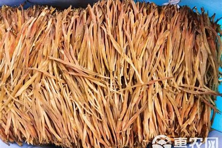 种菜什么时候施什么肥