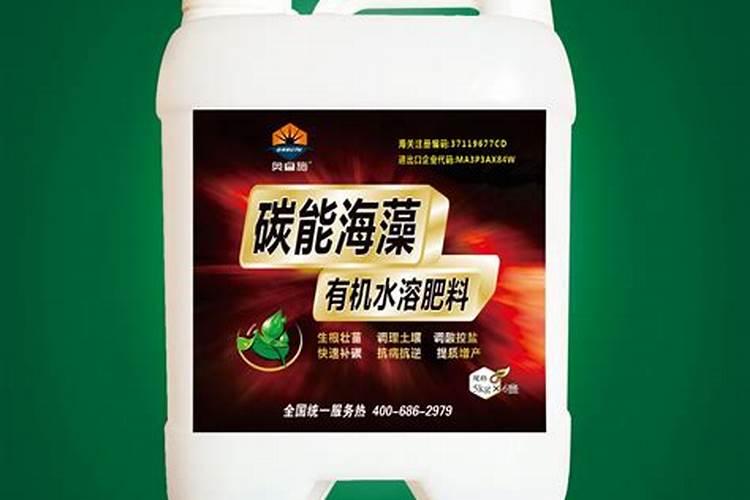 大棚西红柿怎么浇水和冲肥法