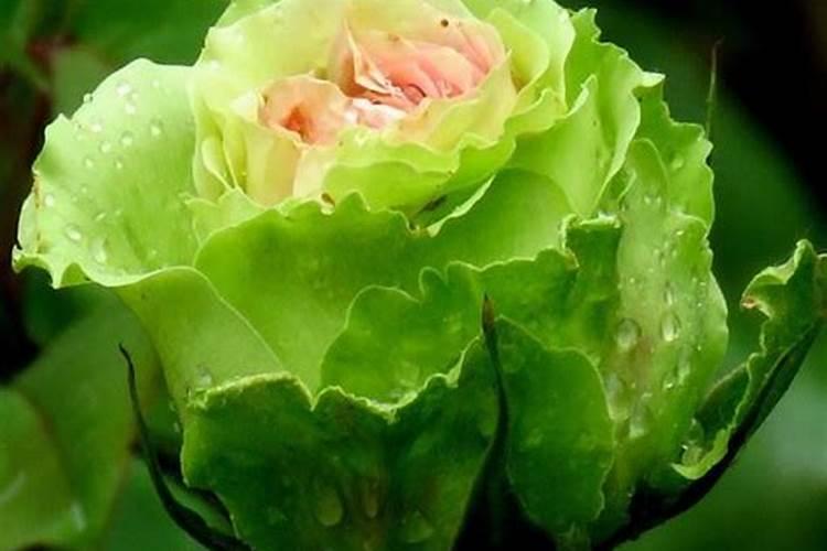 通常化肥的保质期会是多久的时间