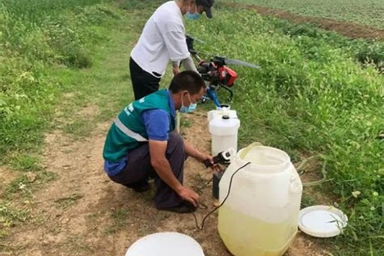 喷过量的叶面肥种植物会怎么样