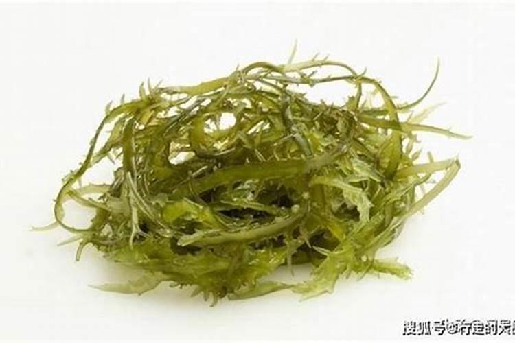 海藻肥海藻肥的作用机理