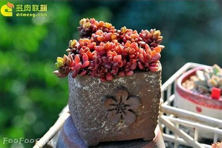 车用尿素在太阳下暴晒有影响吗？