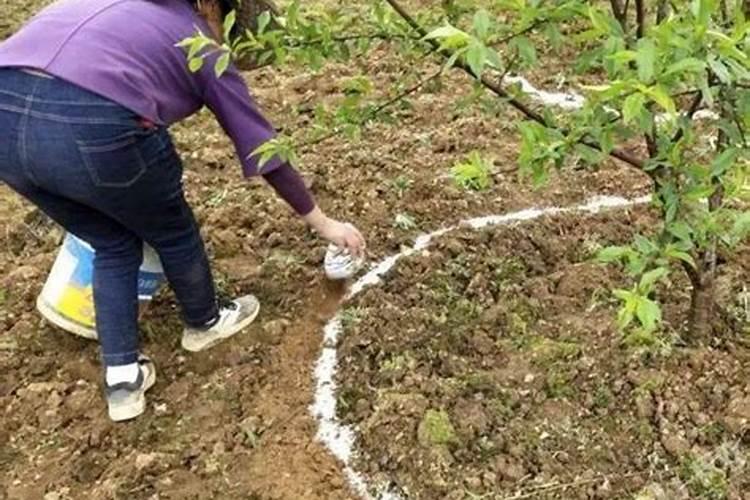 碳酸钙粉是什么东西 碳酸钙粉的作用与用途