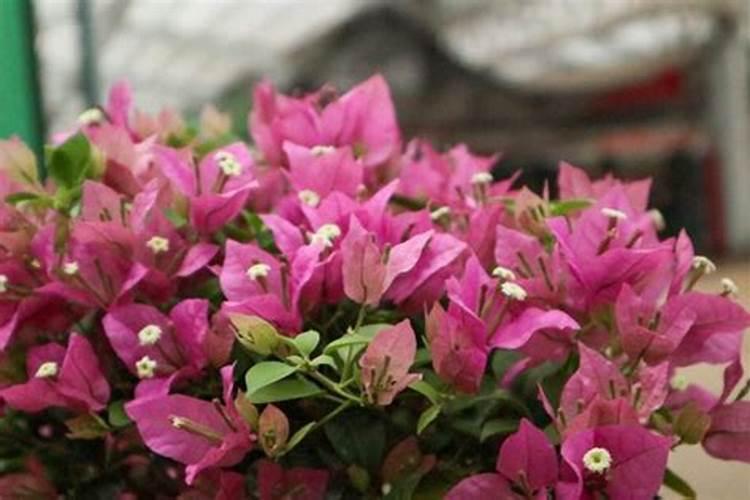 污水中氨氮与总氮有什么区别？