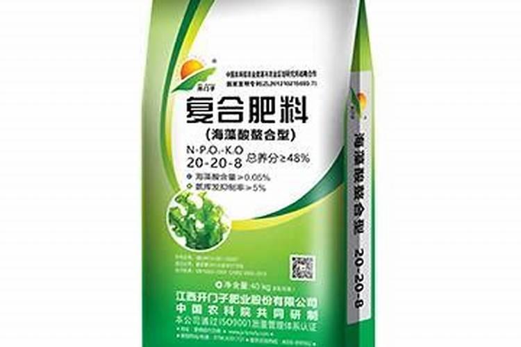 柚树柚树如何株施生物化肥