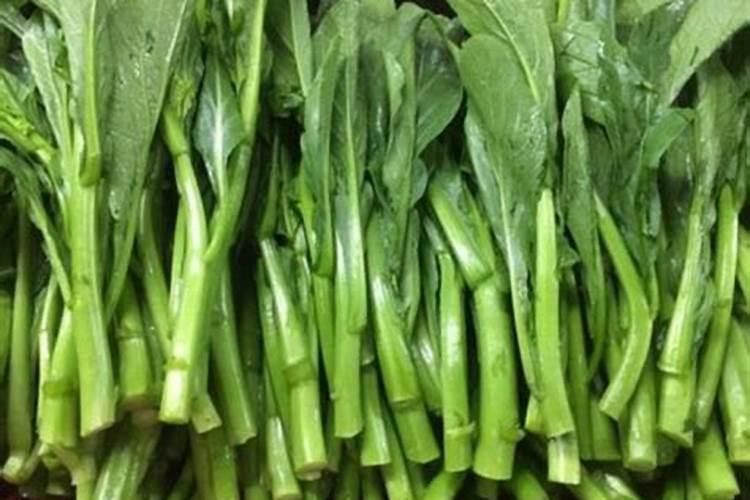 种菜用尿素还是复合肥