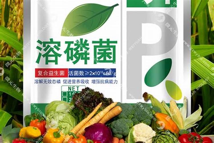 复合肥直接撒在果树下有效么