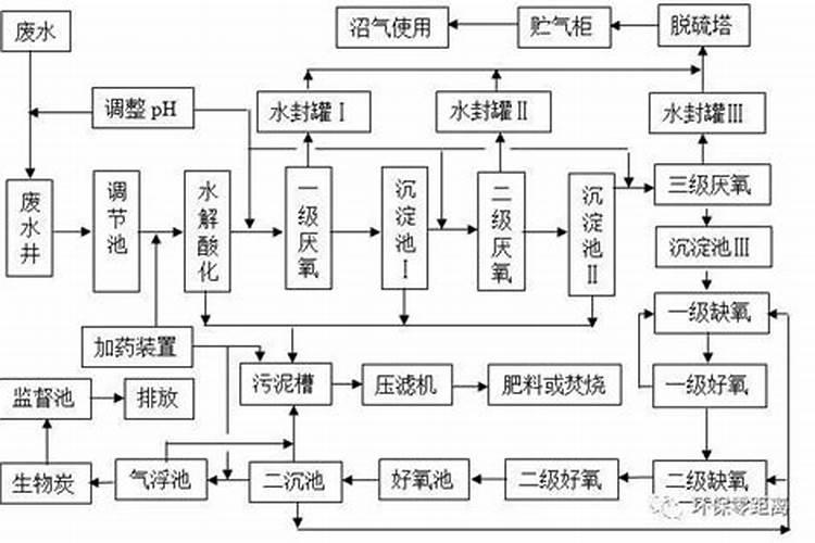 春季松花菜的高产栽培方法