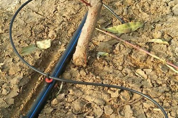 果树冲施肥的使用方法,使用果树冲施肥要注意什么？