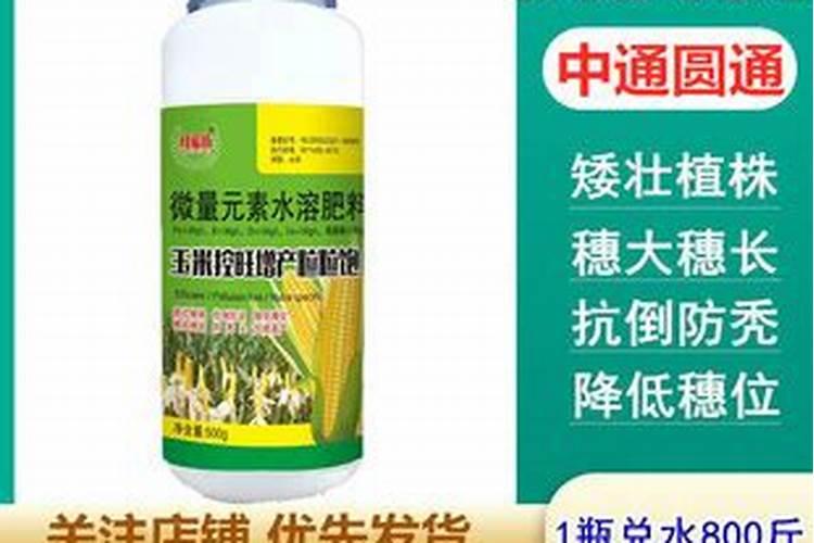 种二得三叶面肥玉米什么时候打合适