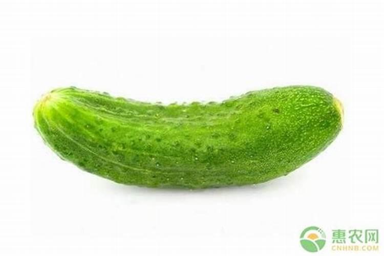 初二上学期复习提纲(7科)