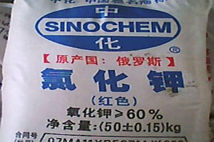 氯化钾果树上应用