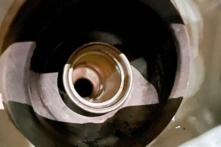 黑豆叶子发黄怎么处理？