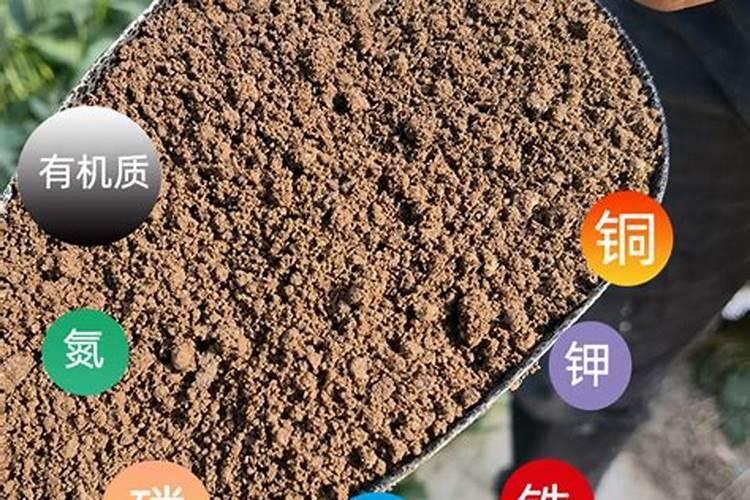 红薯缺钾的症状如何防治呢？