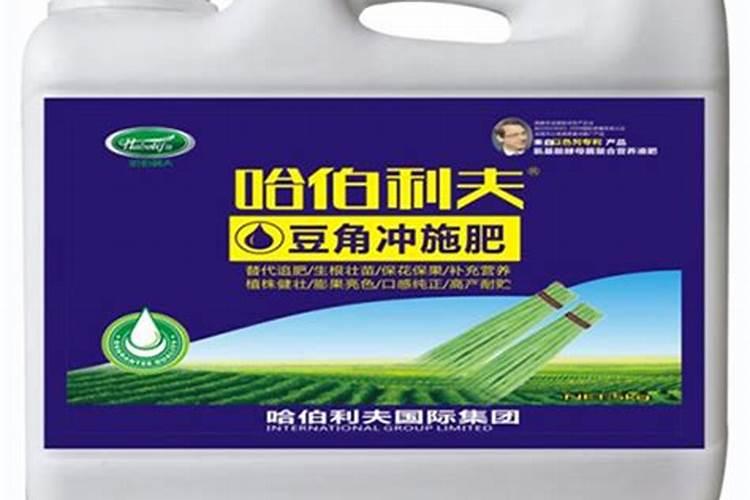 大棚甜瓜吊蔓一亩地种多少棵