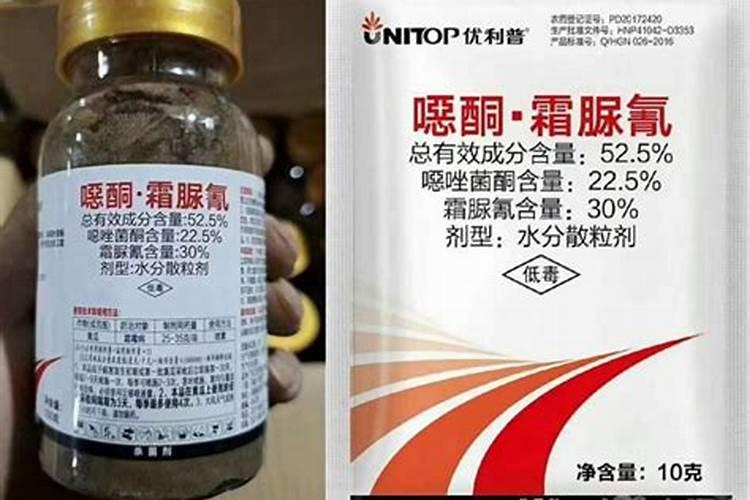 草子施什么肥长得快